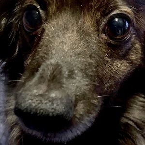 Meet your Posher, Lynda